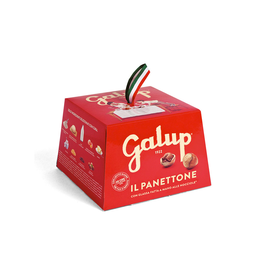 Panettone Galup 100g