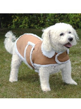 Manteau pour chien special grands froids le manteau