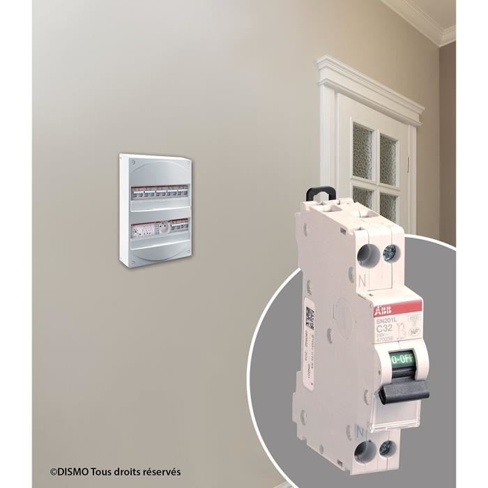 ABB Disjoncteur modulaire phase plus neutre PHN 32 A