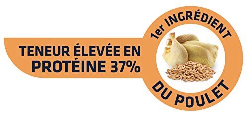 Croquettes Pour Chat - Advance - Sterilise Senior - 15kg - Aide A Prevenir Lobesite - Riche En Proteines