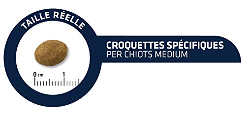 Croquettes Affinity Advance 12 A 15 Kg + Jouet Kong Squeezz Offert !...