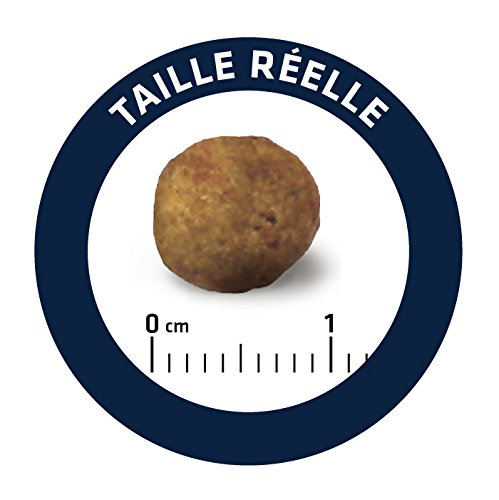 Croquettes Advance Veterinary Diet Chien Gastroenteric 12kg - Alimentation Pour Chiots