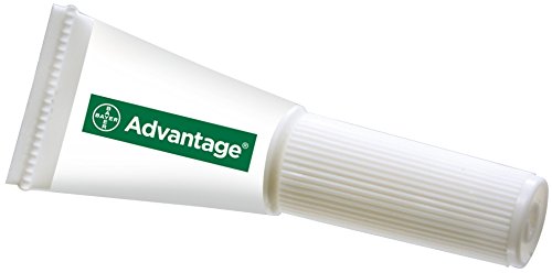 Advantage Solution Antipuce Chat Lapin 4kg 6 Pipettes