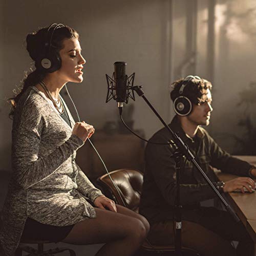 Microphone Akg P120 Condensateur Cardioide Grand Diaphragme