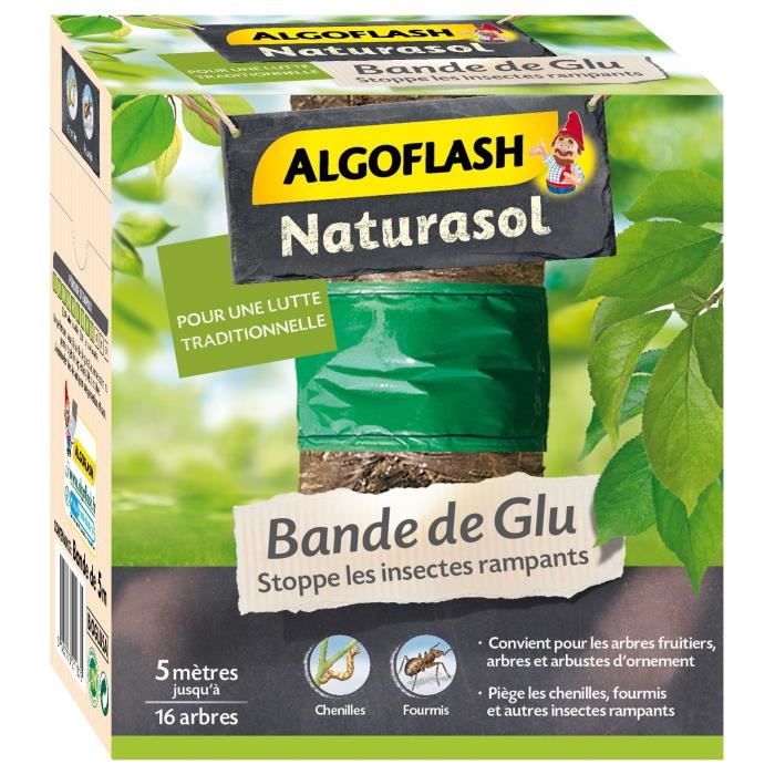 Algoflash Naturasol Bande De Glu - 5 M