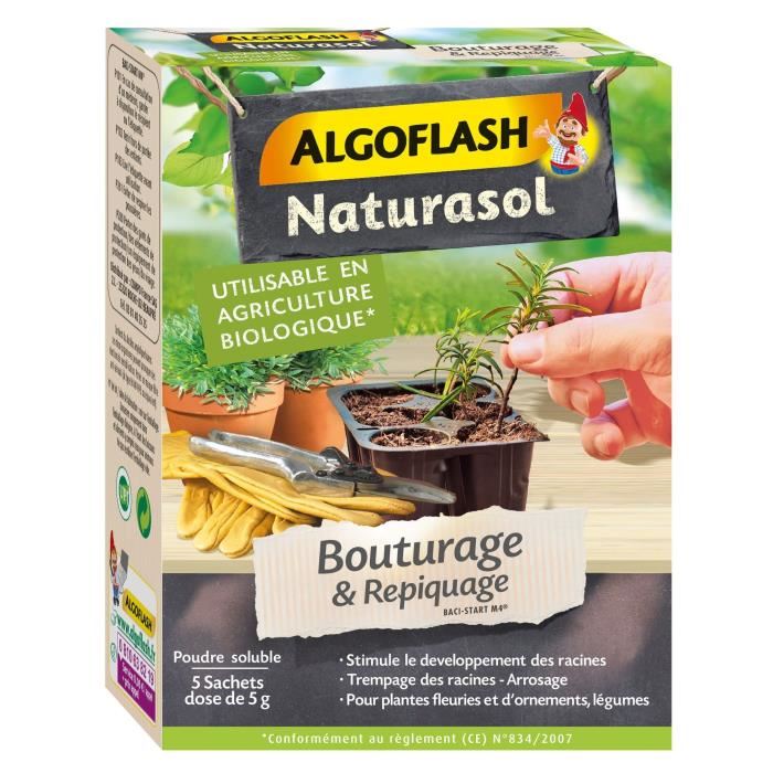 Algoflash Naturasol Poudre Pour Bouturag