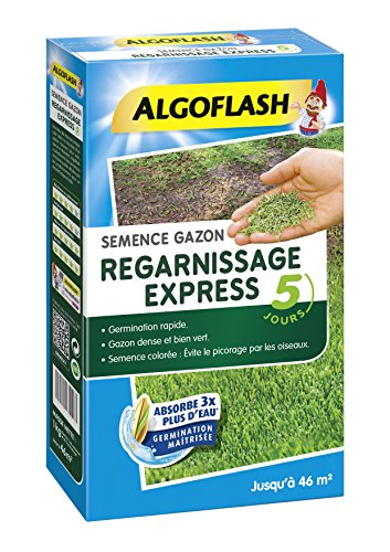 Algoflash - Gazon Regarnissant Express 5 Jours 1kg