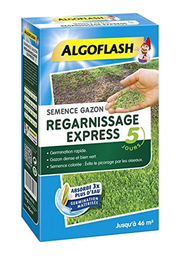 Algoflash Semence Gazon Regarnissage Exp...