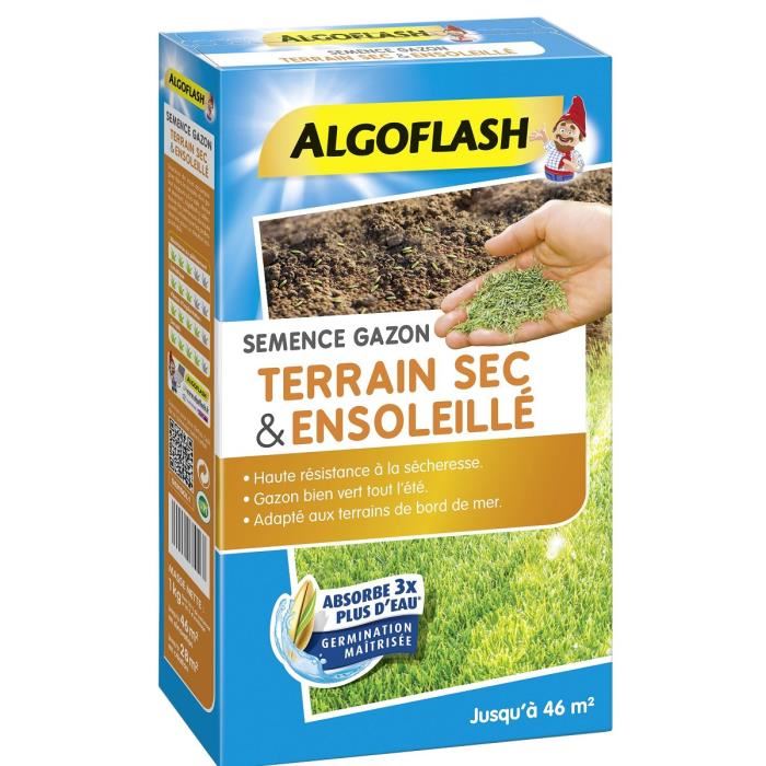 ALGOFLASH Semences gazon terrain sec et ensoleille 1 Kg