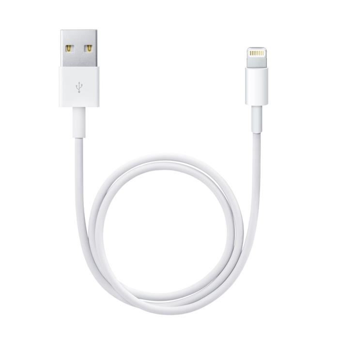 Apple Cable Lightning Vers Usb 0.5 M
