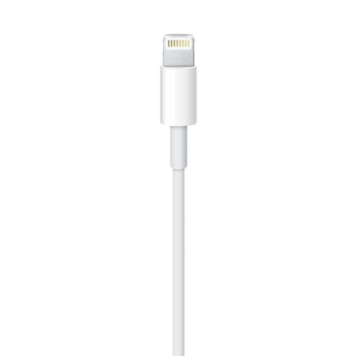 Cable Apple Lightning To Usb Cable 05 M