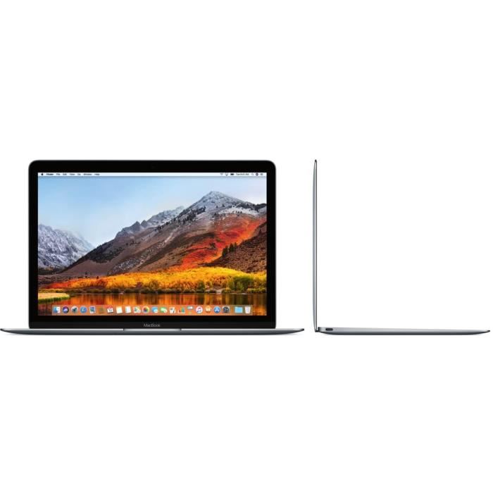 Apple Macbook Mnyg2fna 12 Pouces Retina Intel Core I5 Ram 8go Stockage 512go Ssd Gris Sideral