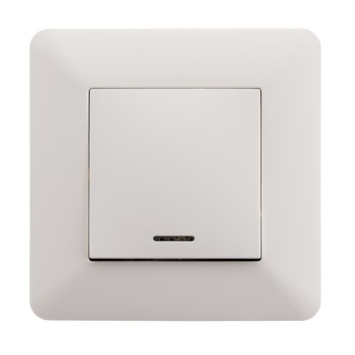 Bouton Poussoir A Voyant 10a Blanc Artezo Zenitech