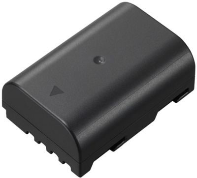 PANASONIC Batterie DMW BLF19E GH3GH4GH5G9