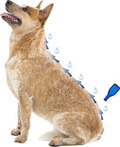 Beaphar Dimethicare Stop Parasites 6 pipettes pour petit chien