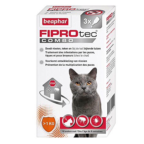 Beaphar Fiprotec Combo Pipettes Puces Tiques Et Poux Broyeurs Chats Et Furets (1kg) 0,5ml X 3 Unites