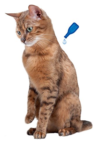 Beaphar Fiprotec Combo Pipettes Puces Tiques Et Poux Broyeurs Chats Et Furets 1kg 05ml X 3 Unites