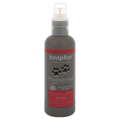 Spray Shampoing Sec parfume pour Chat - Beaphar - 200ml