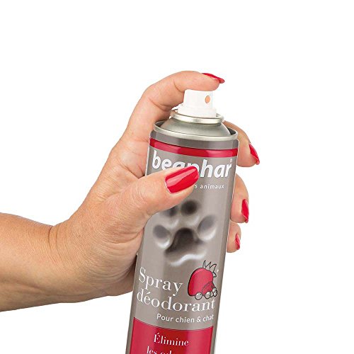 Spray Deodorant pour Chiens et Chats - Beaphar - 250ml
