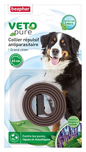 Collier insectifuge grand chien Beaphar