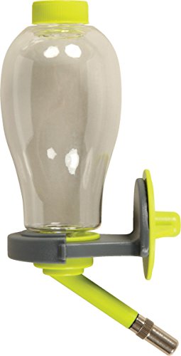 Biberon Pour Rongeurs 500 Ml Vert Anis