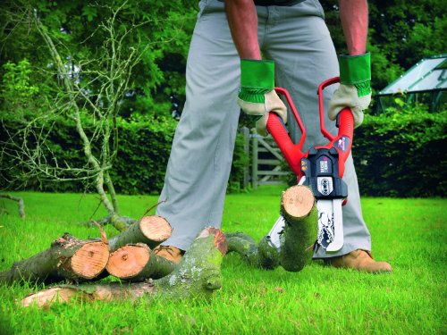 Black & Decker Gk1000 Coupe-branches All...