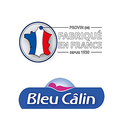 Couette Microfibre - 260 X 240 Cm - Bleu Calin - 4 Saisons - 410 G/m² - Blanc