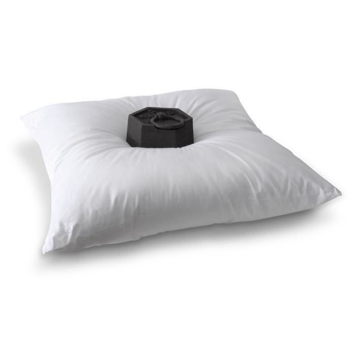 BLEU CALIN Lot de 2 oreillers Volumineux 60x60 cm blanc