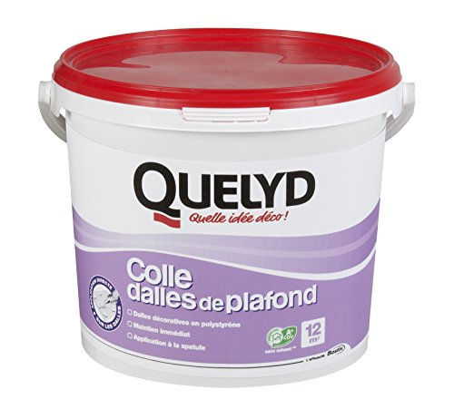 QUELYD Colle pour polystyrene et materiaux isolation 4 Kg