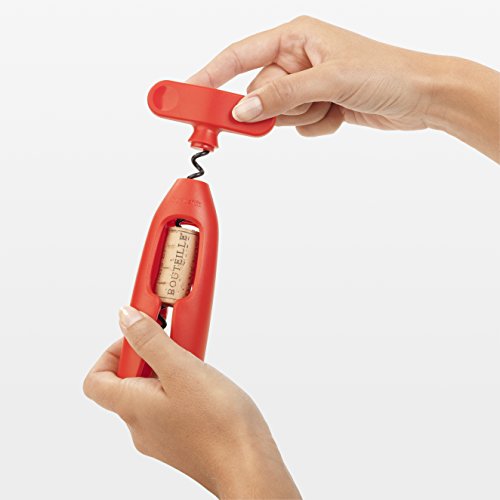 Tire-bouchon Brabantia Tasty Poignee Large Menthe