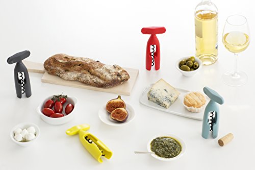 Tire-bouchon Brabantia Tasty Poignee Large Menthe