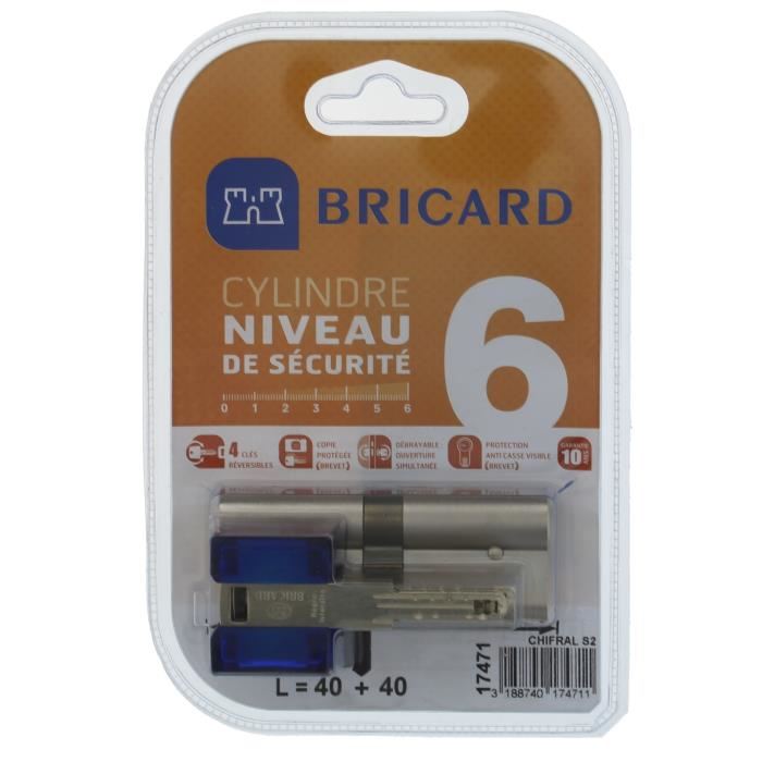 Cylindre Bricard Chifral S2 17471 4040 Mm Double Entree Nickele Niveau De Securite 6
