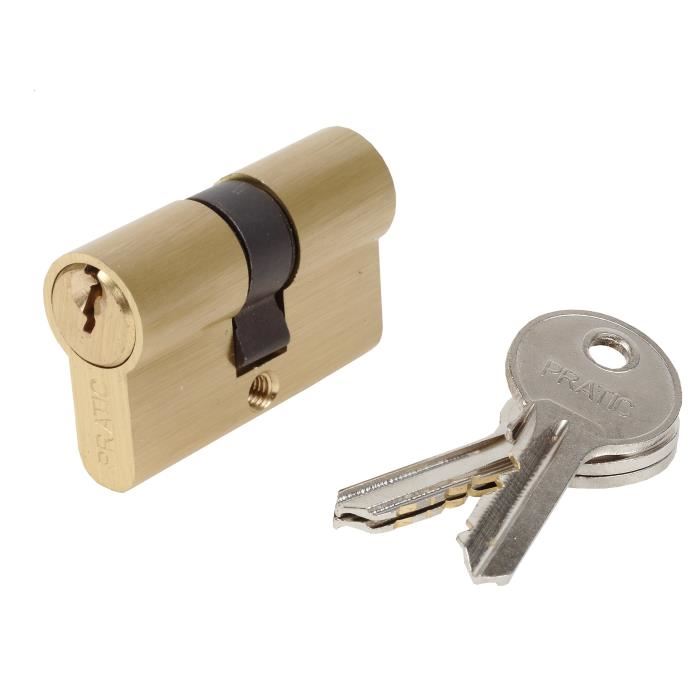 Cylindre Bricard Pratic 1439 En Laiton Double Entree 25+25 Mm - Niveau De Securite 1