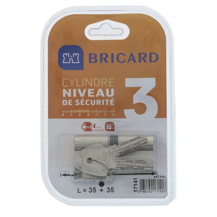 Bricard 17141 Cylindre Astral 2, 9 En La...