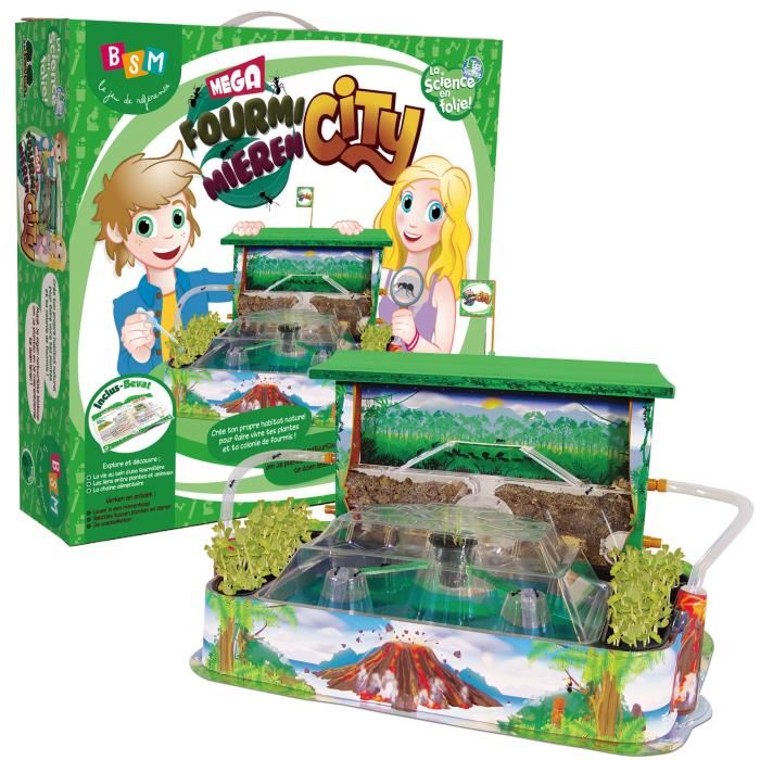 Bsm Le Royaume Des Fourmis