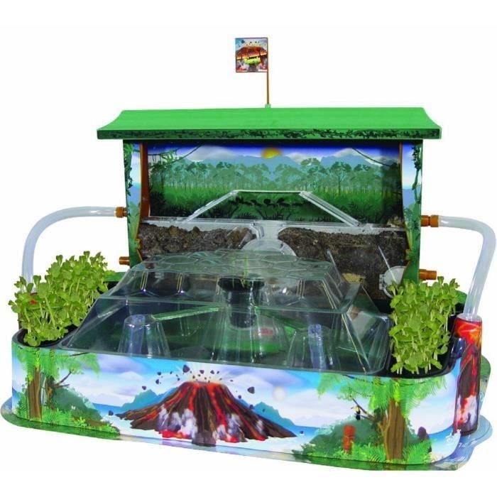 BSM Le Royaume des Fourmis