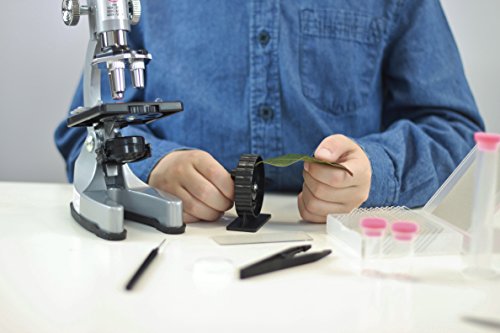 Buki France Microscope 30 Experiences