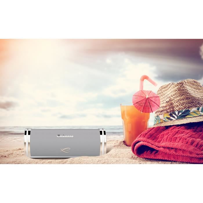 Cabasse Swell Enceinte Bluetooth Nomade Haute-fidelite - Blanc