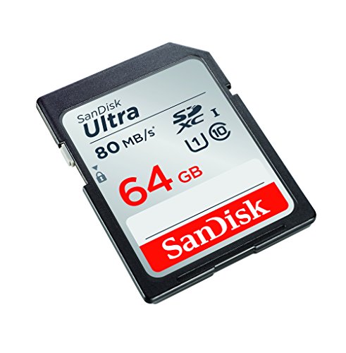 Sandisk Ultra Sdxc Memory Card Up To 80 ...