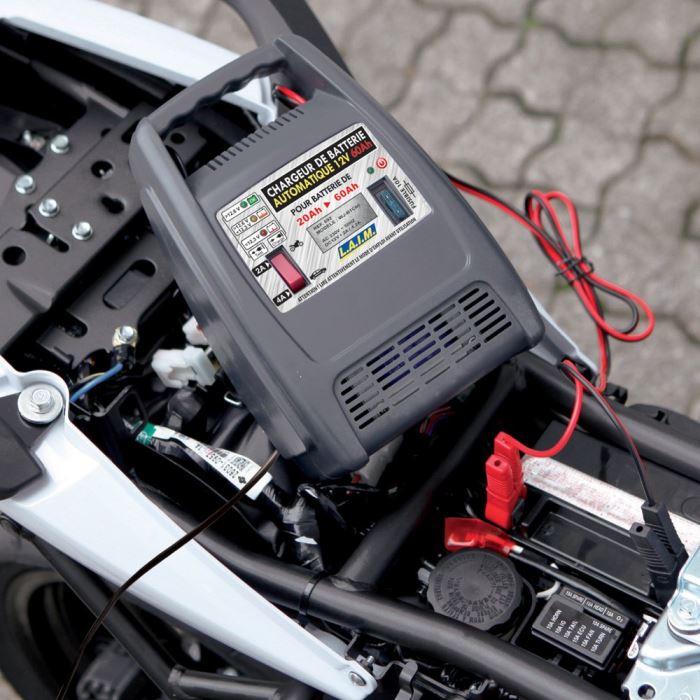 Chargeur Batterie 12v 60ah Automatique 6a