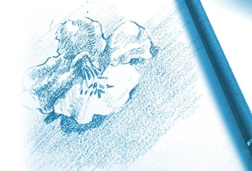 Pochette Dessin - Clairefontaine - A3 - 10 Feuilles - 224 Grammes - Blanc
