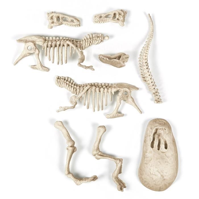 Clementoni - Science & Jeu - Archeo Ludic - T-rex