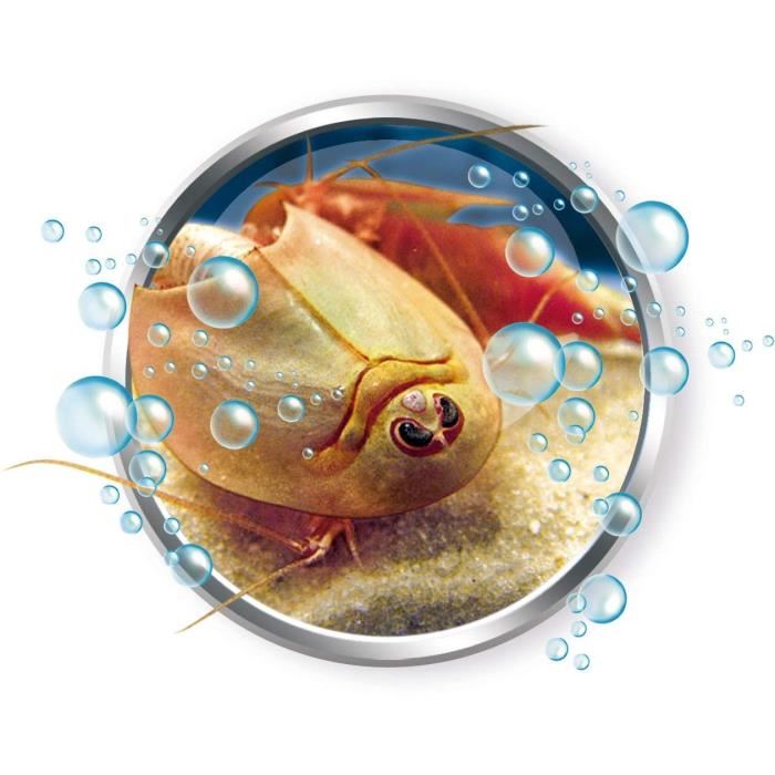 Clementoni - Science & Jeu - Éleve Tes Triops