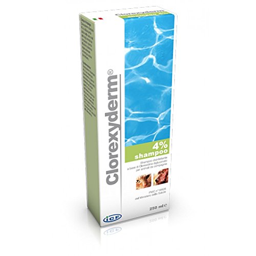 Clorexyderm 4% shampoo flacon de 250 ml