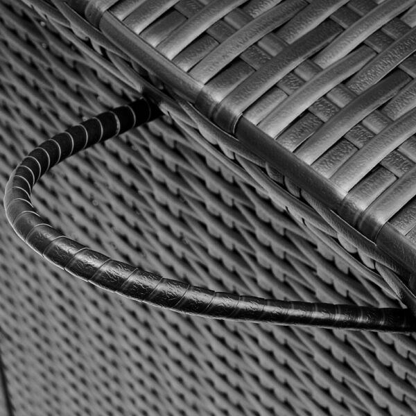 Coffre De Rangement Stockage Noir 122x56...