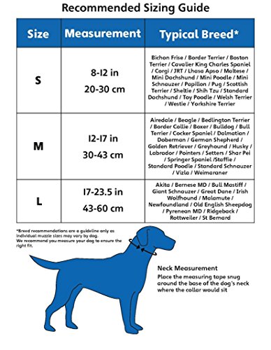 Company Of Animals Harnais Non Pull L 43-60 Cm Noir