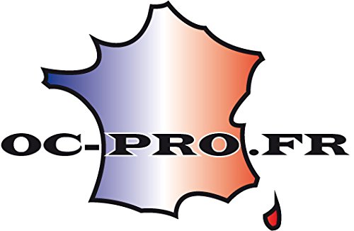 Cosse Batterie Coupe Circuit Antivol