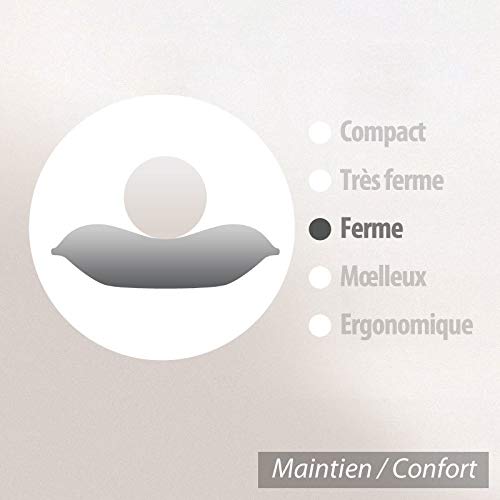 Coussin A Recouvrir 30x60 Cm Garnissage Fibres Polyester Coussin Malin