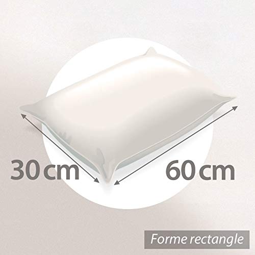 Coussin A Recouvrir 30x60 Cm Garnissage Fibres Polyester Coussin Malin