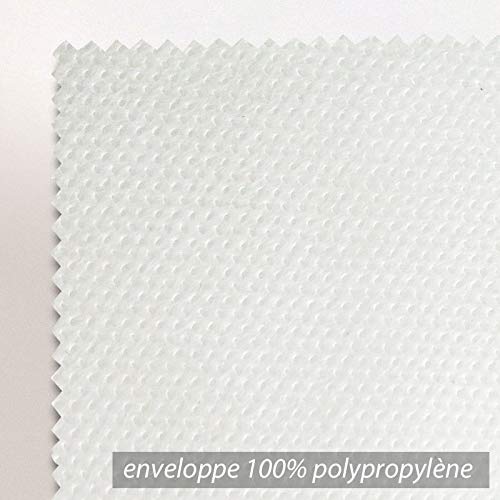 Coussin A Recouvrir 30x60 Cm Garnissage Fibres Polyester Coussin Malin